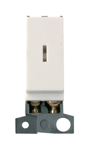 Polar White 10Ax DP Keyswitch Module