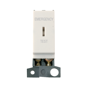 Polar White 10Ax DP Keyswitch Module