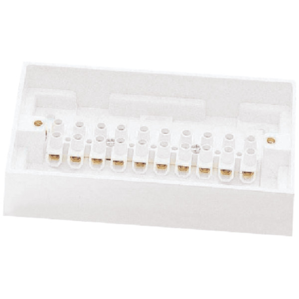 Click Polar 15A 10 Way Connector Box - Image 2